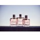 Givenchy Irresistible 35ml Eau de Parfum da donnaUn profumo irresistibile, appositamente creato per la donna naturalme